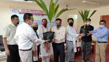 A one-day training programme cum distribution of coconut saplings was held at CAU, Headquarters, Lamphelpat, Imphal on June 24, 2020
