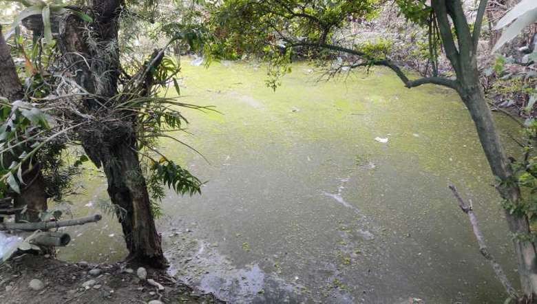 Polluted household pond in Imphal (PHOTO: P Keny Devi_IFP)