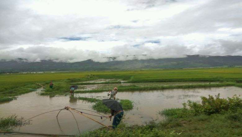 Fish farmers in Manipur (PHOTO: IFP)