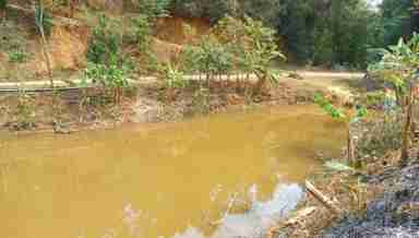 Langmai Jai - a water harvesting pond at Tokpa Kabui village in Churachandpur district, Manipur (PHOTO: IFP)