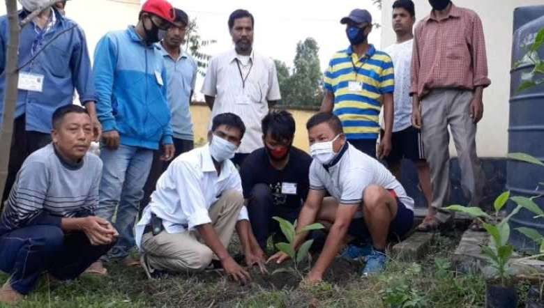 Tree plantation at Heirok in Thoubal, Manipur on July 5, 2020
