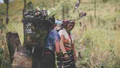 Zeliangrong women farmers (PHOTO IFP)