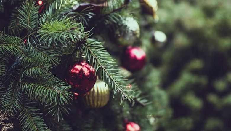 Merry Christmas | Chief Minister Biren: Let us imbibe and take the message of Christmas by involving oneself in the work of spreading peace and harmony in the state and shun involvement in any manner of evil activity (Representational Image: Unsplash)