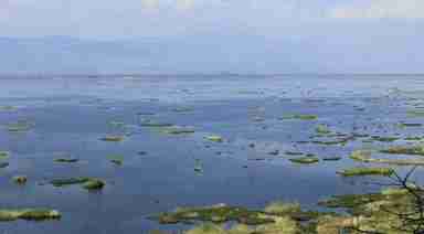 LKKL is all set to launch a movement to remove the Ithai Dam and bring back the natural conditions of the Loktak lake (PHOTO: Len-IFP)