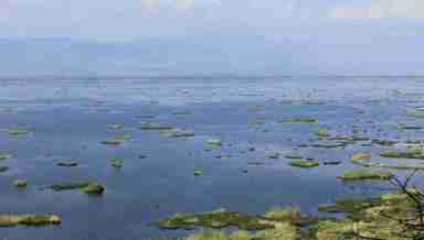 Loktak lake, Imphal, Manipur (PHOTO: IFP)