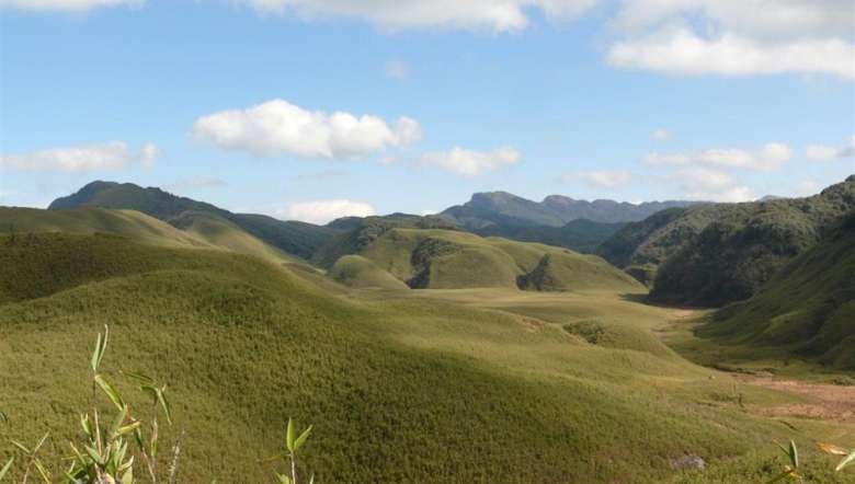 Dzuko Valley (PHOTO: Wikimedia Commons)