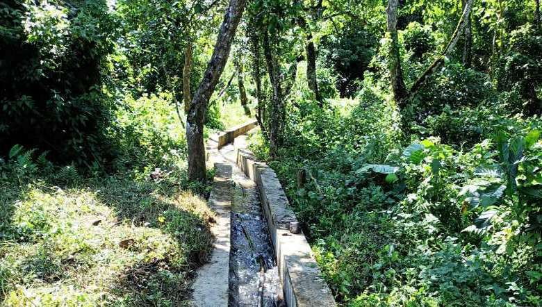 A small canal through which Phayeng village draws spring water from the forest (Photo: Babie Shirin-IFP)