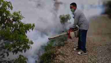The District Malaria Office team also conducted fogging in the vicinity of Vengthah Ward No 3, including the residence of the patient to contain the spread of the break-bone fever