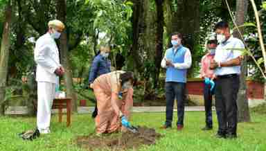 Van Mahotsav festival: Najma Heptulla planted a ‘Manahi’ sapling at the Raj Bhavan complex, Imphal on July 27, 2020 (PHOTO IFP).