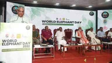 World Elephant Day 2022 celebration at Periyar, Kerala on August 12, 2022