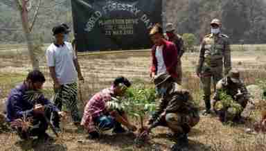 Tree plantation in Tamenglong on World Forestry Day