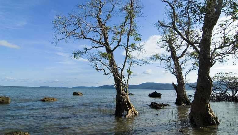 Seascape at Chidiyatapu, Andaman islands (Photo: Flickr.com-Wikipedia)
