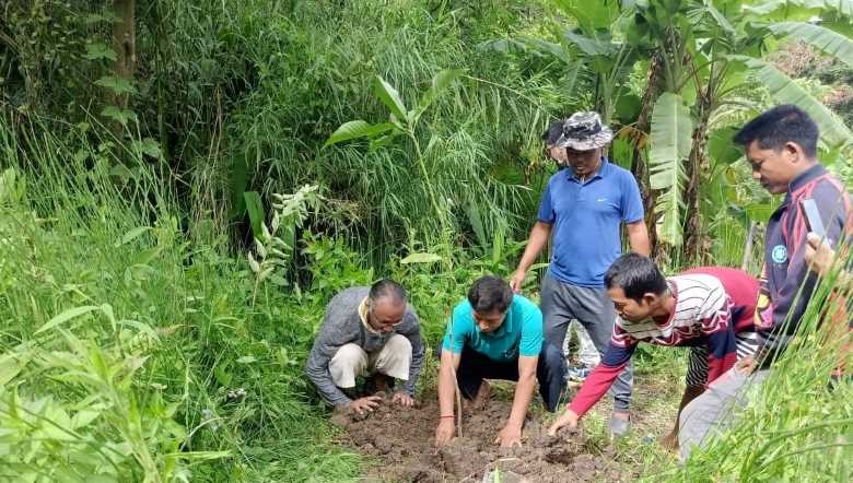 A mass cleanliness drive followed by a tree sapling plantation was carried out at Laipham Loknung, Kakching Hills, led by the Lai Committee of Ima Yaiphulembi and Range Forest Officer Naorem Munal on June 27, 2020