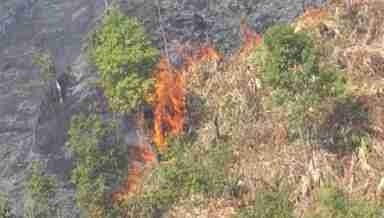 Wildfire in Tamenglong hill range (File Photo: IFP)