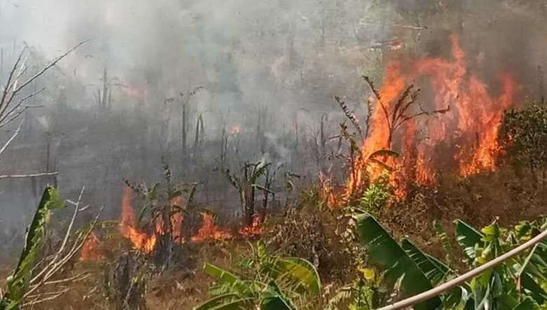 Forest Fire in Manipur (File Photo: IFP)