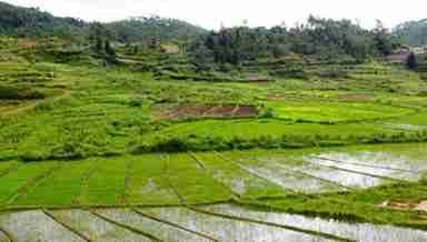 East Jaintia Hills district in Meghalaya